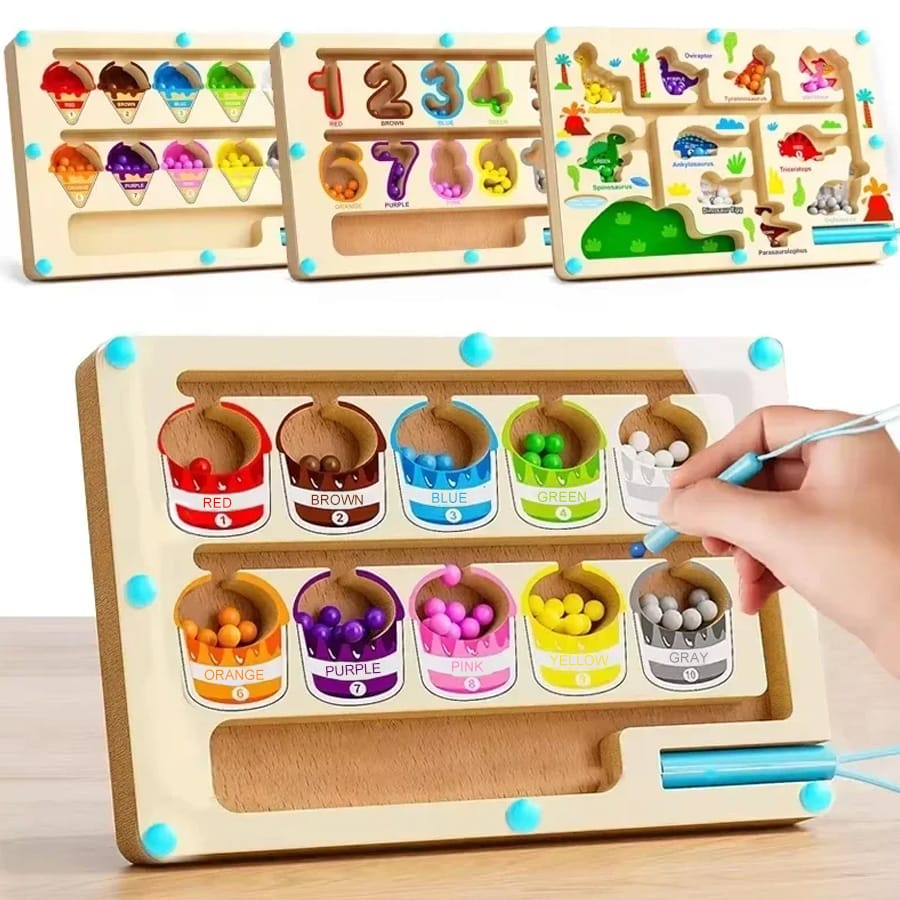 Magnetic Color Maze Game Board